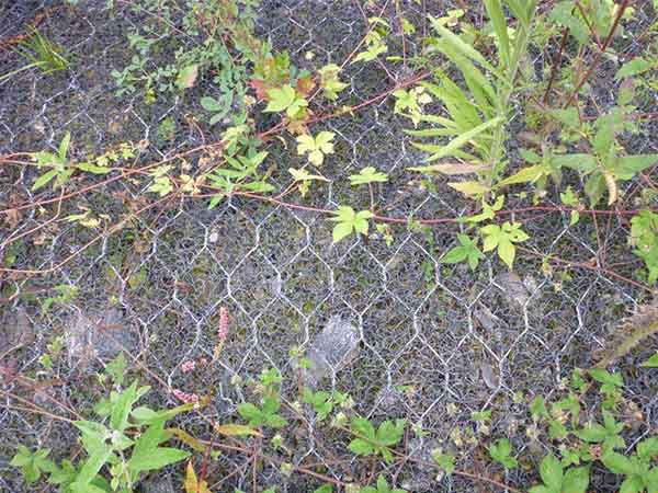 加筋麦克垫图片4